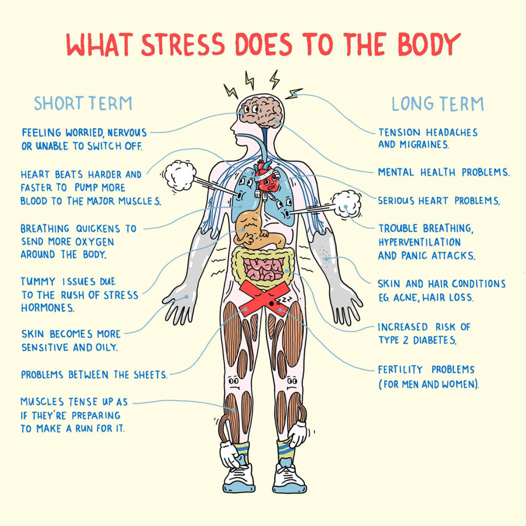 What stress can do to the body