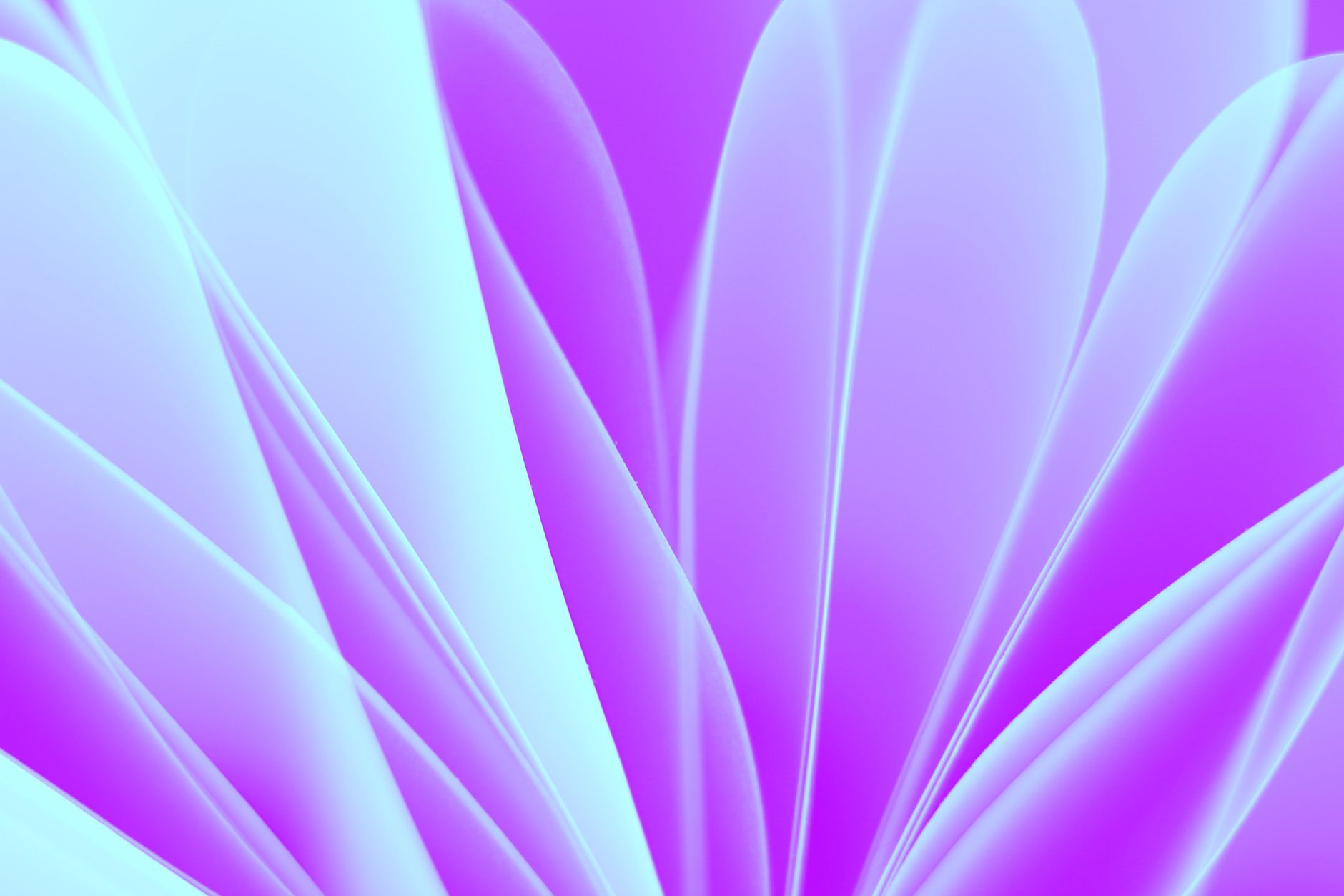 A vibrant abstract artwork featuring pastel floral petal patterns in purple and blue hues.