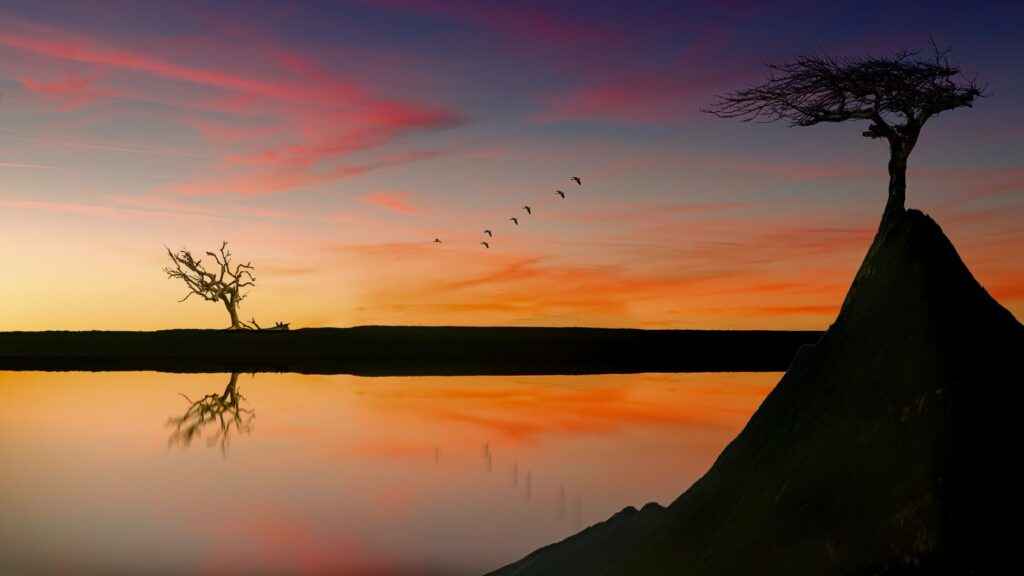 Peaceful sunset over lake with tree silhouettes and birds flying in a colorful sky reflection.